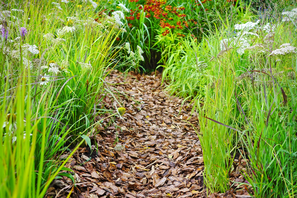weg im garten aus holzspänen