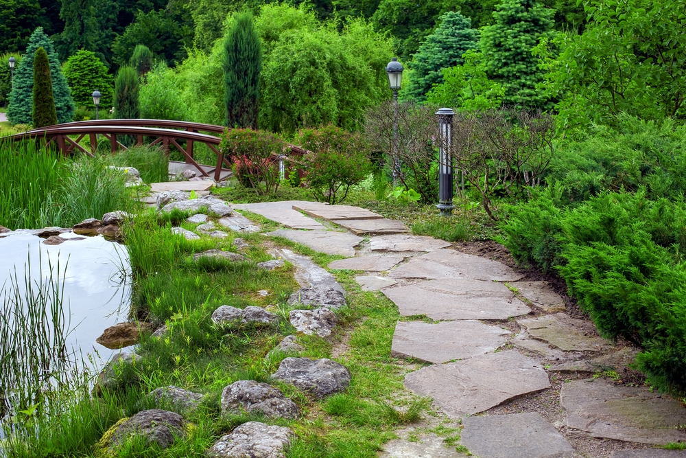 gartenweg neben teich