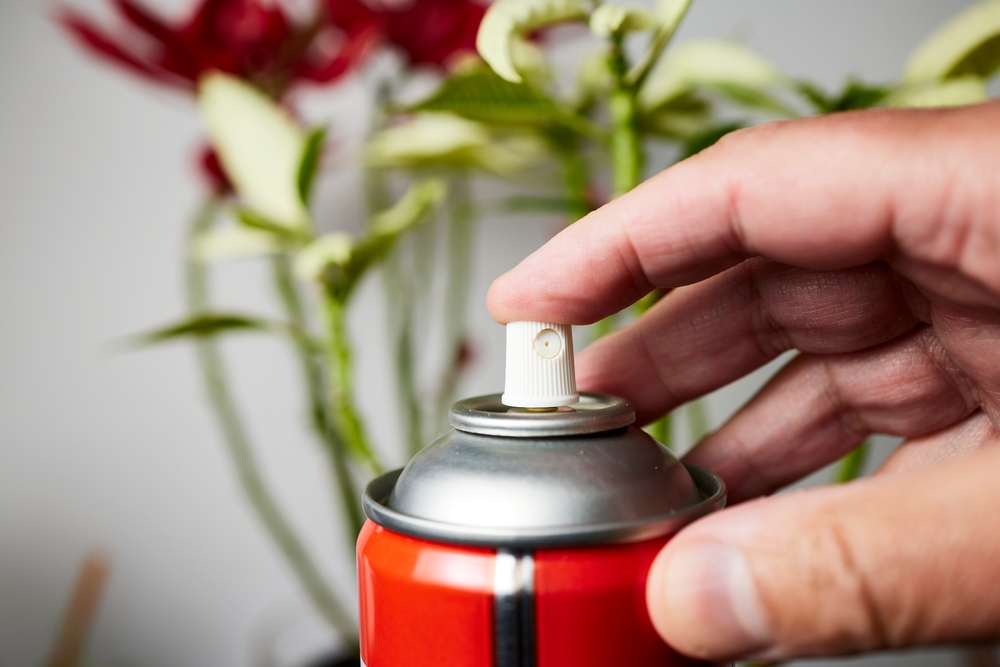 spray gegen wespen