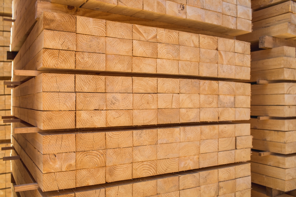 fichte holz